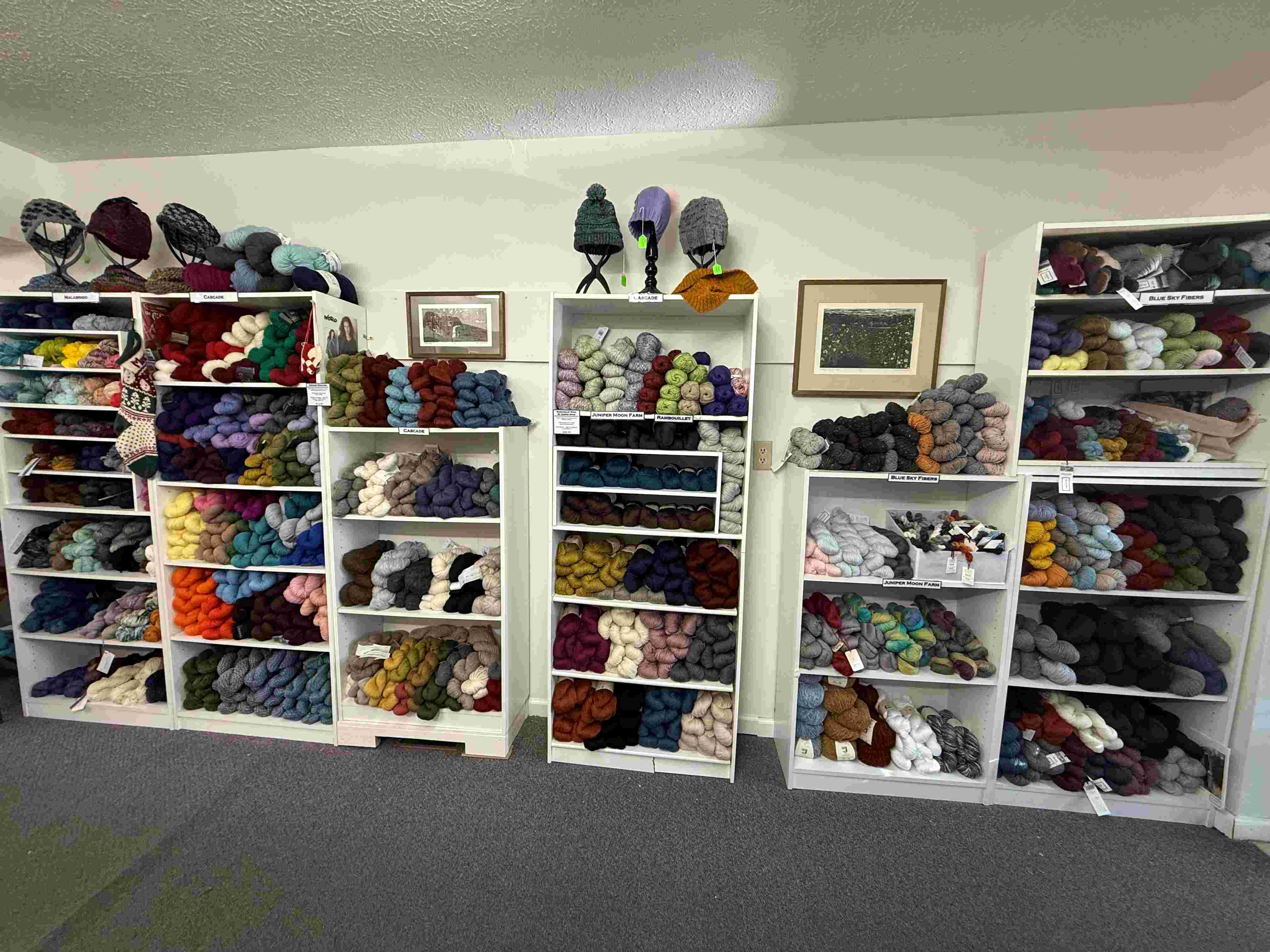 New shop interior 1