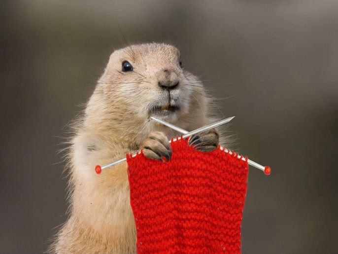 Sit & Knit or Stay & Crochet
